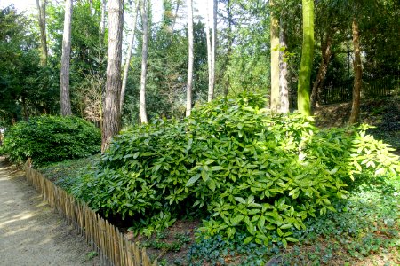 Jardin colonial de Laeken - Brussels, Belgium - DSC07612