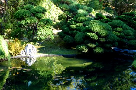 Japanese Tea Garden (San Francisco) - DSC00219 photo
