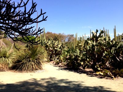 Jardín Etnobotánico de Oaxaca 09