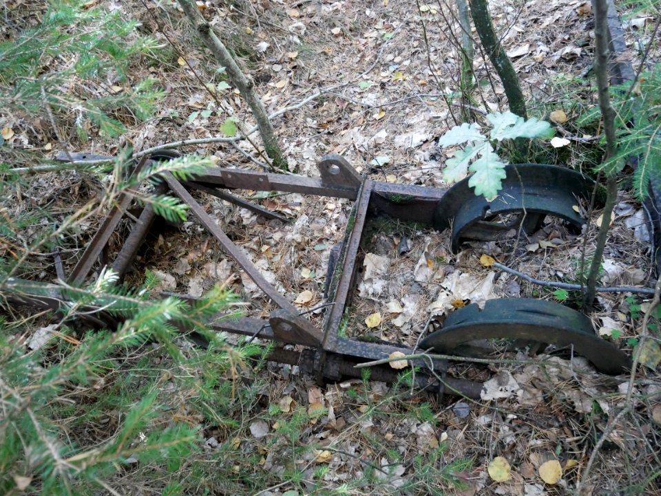 Jesteburger Ziegeleibahn, 2018-09 VI