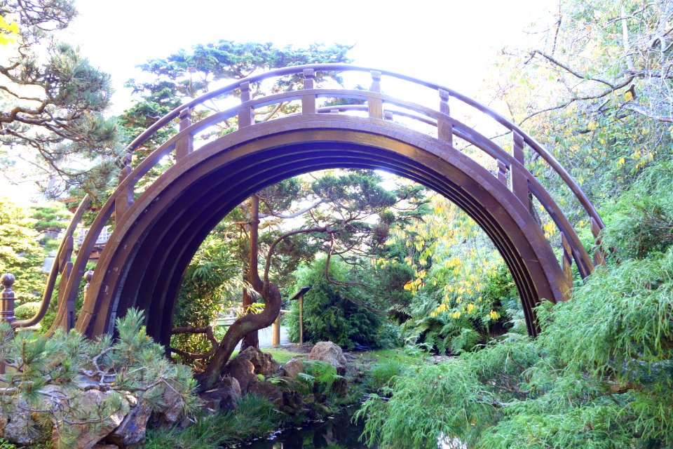 Japanese Tea Garden (San Francisco) - DSC00204