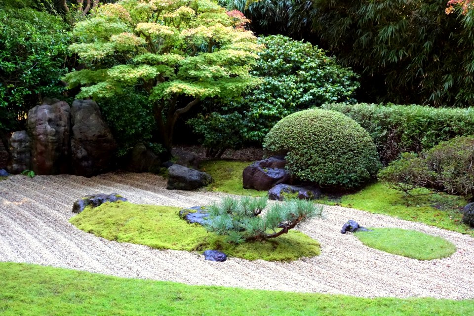 Japanese Tea Garden (San Francisco) - DSC00250