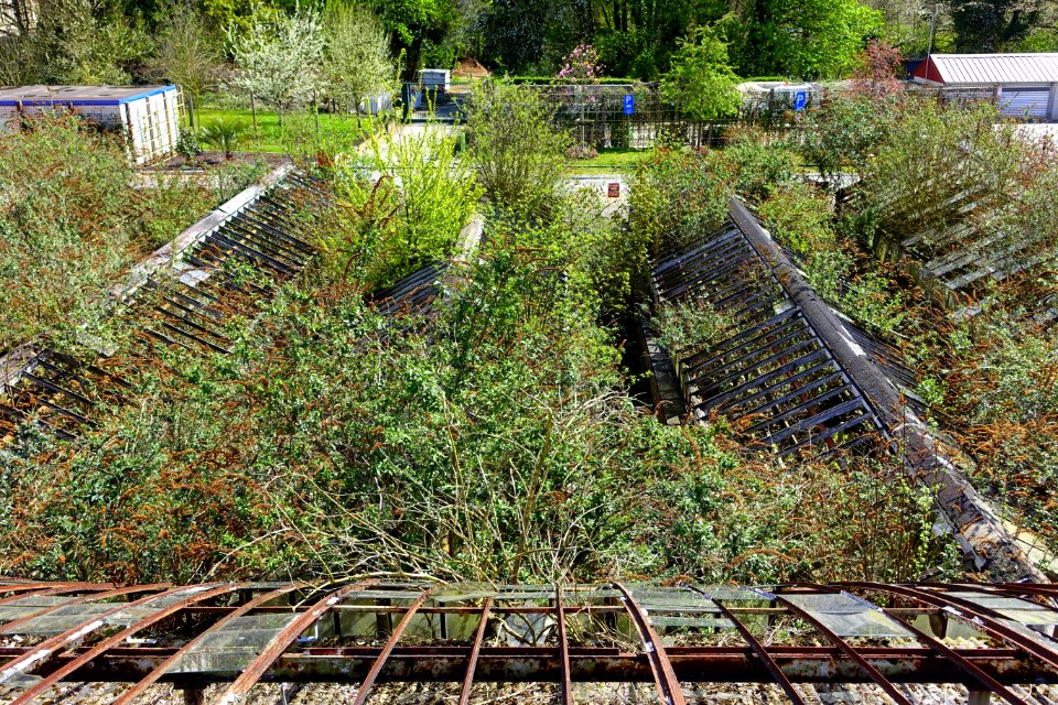 Jardins du Fleuriste du Stuyvenberg - DSC07590