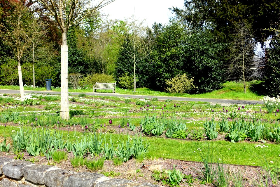 Jardins du Fleuriste du Stuyvenberg - DSC07587