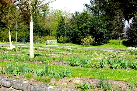 Jardins du Fleuriste du Stuyvenberg - DSC07587