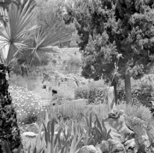 Jeruzalem, Garden of the Tomb, buiten de oude stad bij de Damascuspoort gelege, Bestanddeelnr 255-1682