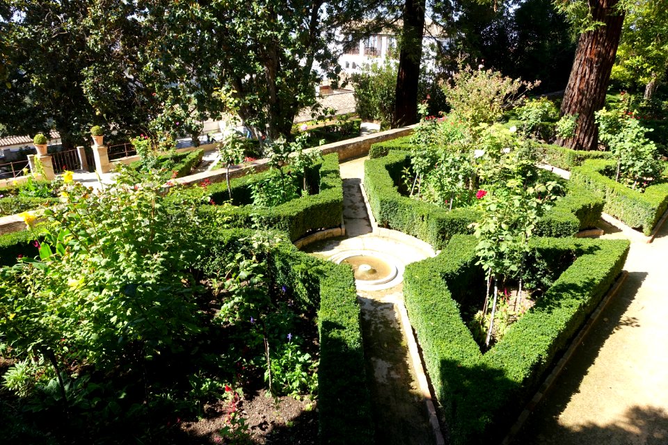 Jardines Altos (Generalife) - DSC07845