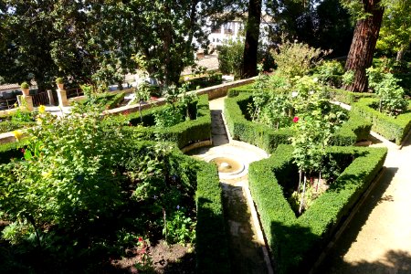 Jardines Altos (Generalife) - DSC07845