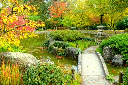 Japanese garden - Landesgartenschau-Park - Würzburg, Germany - DSC04414