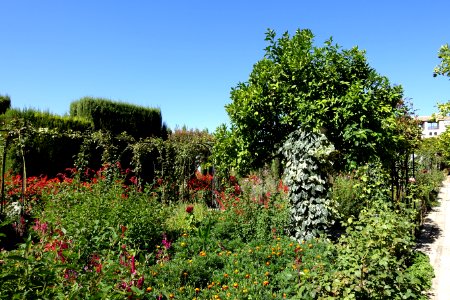 Jardines Bajos (Generalife) - Alhambra, Granada, Spain - DSC07756