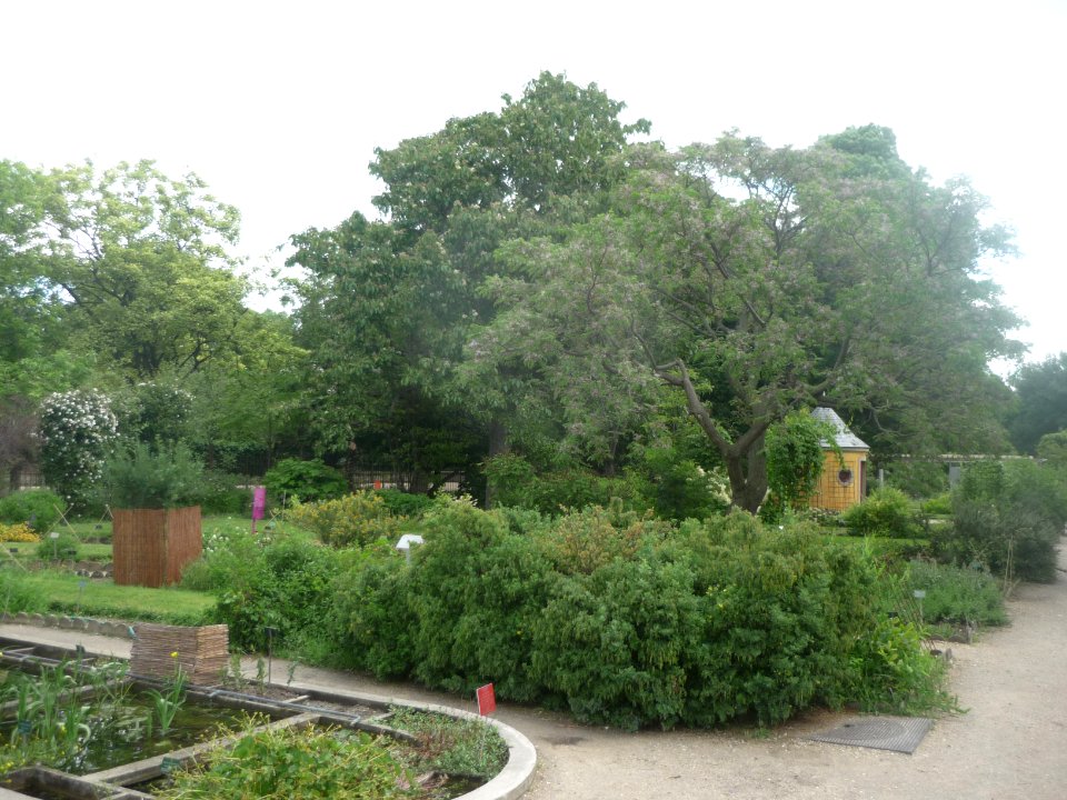 Jardin des Plantes - Paris - P1270601