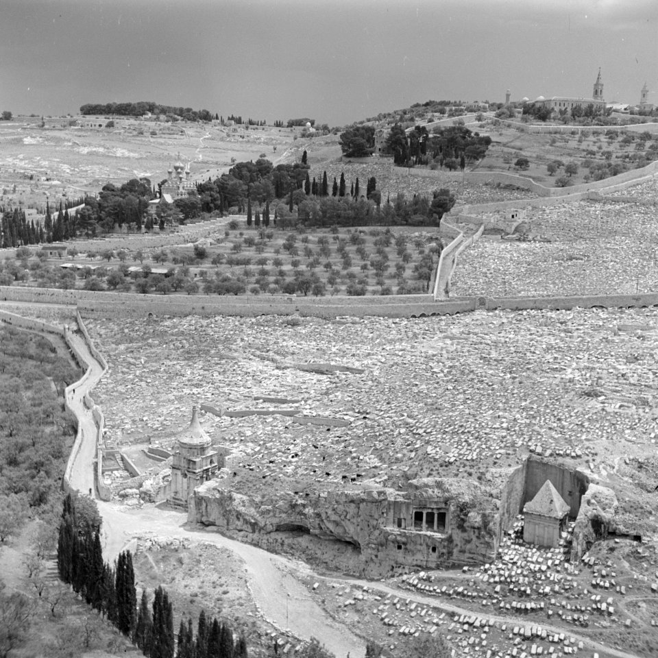 Jeruzalem. Gezicht op het Kedrondal en de Olijfberg met beneden de Weg der Gevan, Bestanddeelnr 255-1657