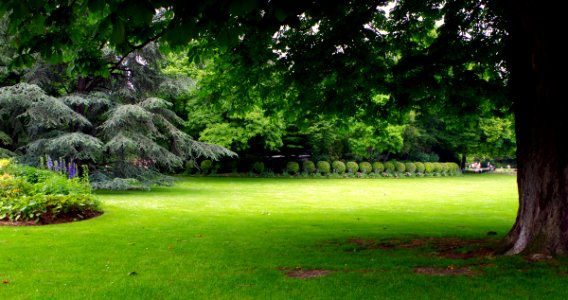 Jardin du Luxembourg - Pelouse et massifs de plantes