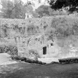 Jeruzalem, Garden of the Tomb, buiten de oude stad bij de Damascuspoort gelege, Bestanddeelnr 255-1683