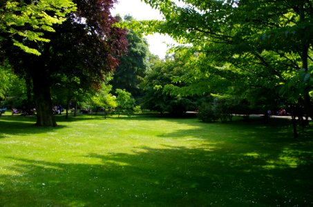 Jardin du Luxembourg - Vue avec arbres photo