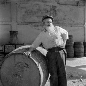 Jemenitische arbeider met baard bij de Rothschild wijnkelders te Rishon LeZion l, Bestanddeelnr 255-1604