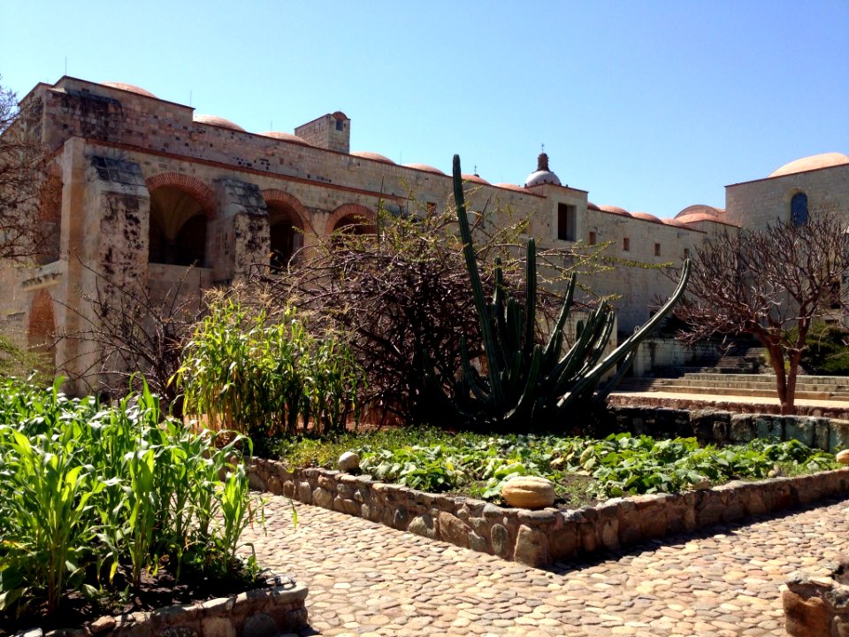 Jardín Etnobotánico de Oaxaca 02