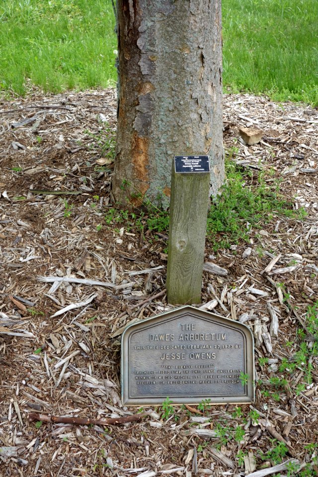 Jesse Owens - Dawes Arboretum plaque - DSC02881