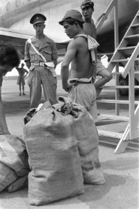 Japanse krijgsgevangen halen de zakken uit het vliegtuig onder toezicht van Mili, Bestanddeelnr 115-4-2