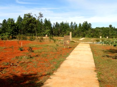 Jardim de Contemplação - Jardim Botânico de Brasília - DSC09618