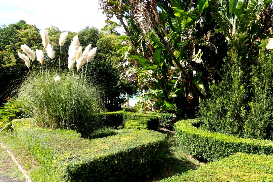 Jardim Botânico Tropical - Lisbon, Portugal - DSC06563