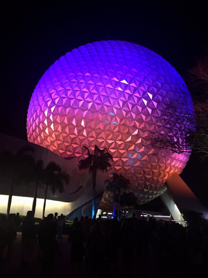 Disney world black world