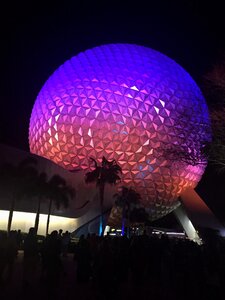 Disney world black world