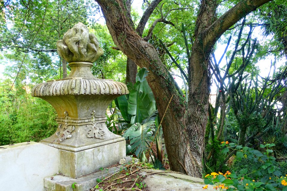 Jardim Botânico Tropical - Lisbon, Portugal - DSC06571