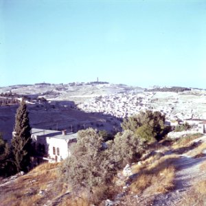 Jeruzalem De Olijfberg gezien vanaf de berg Zion, Bestanddeelnr 255-9338