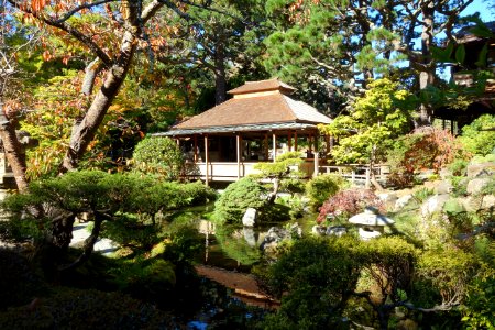 Japanese Tea Garden (San Francisco) - DSC00265 photo