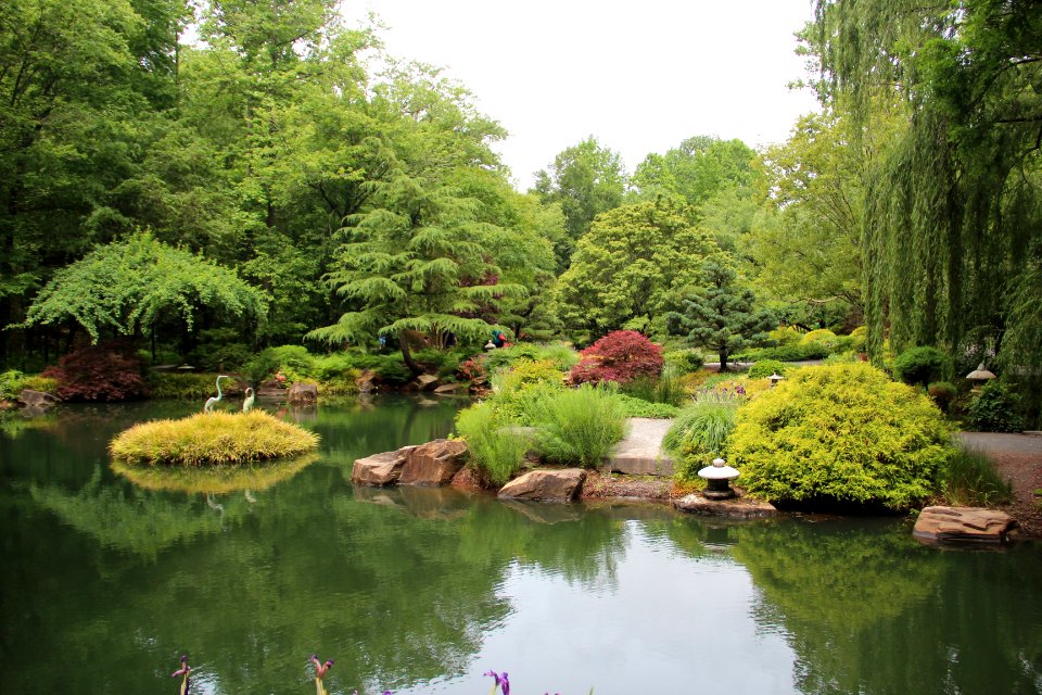 Japanses Garden, Gibbs Gardens, May 2017 2