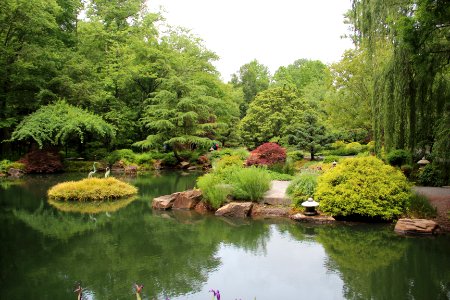 Japanses Garden, Gibbs Gardens, May 2017 2