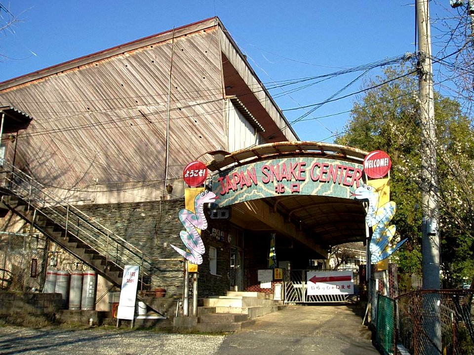 Japan-Snake-Center-2012032401