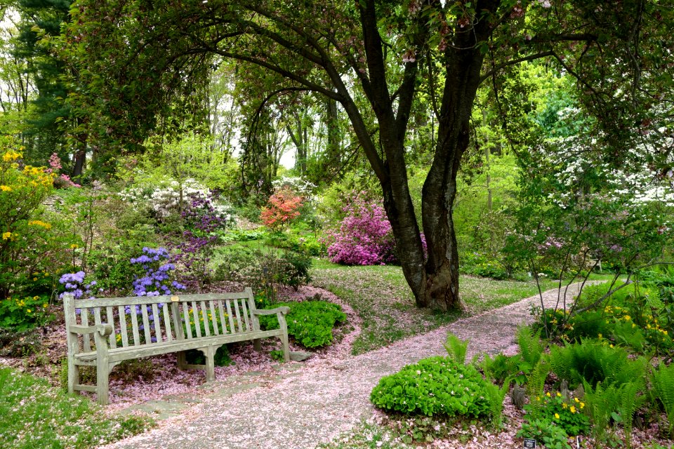 Jenkins Arboretum - DSC00684