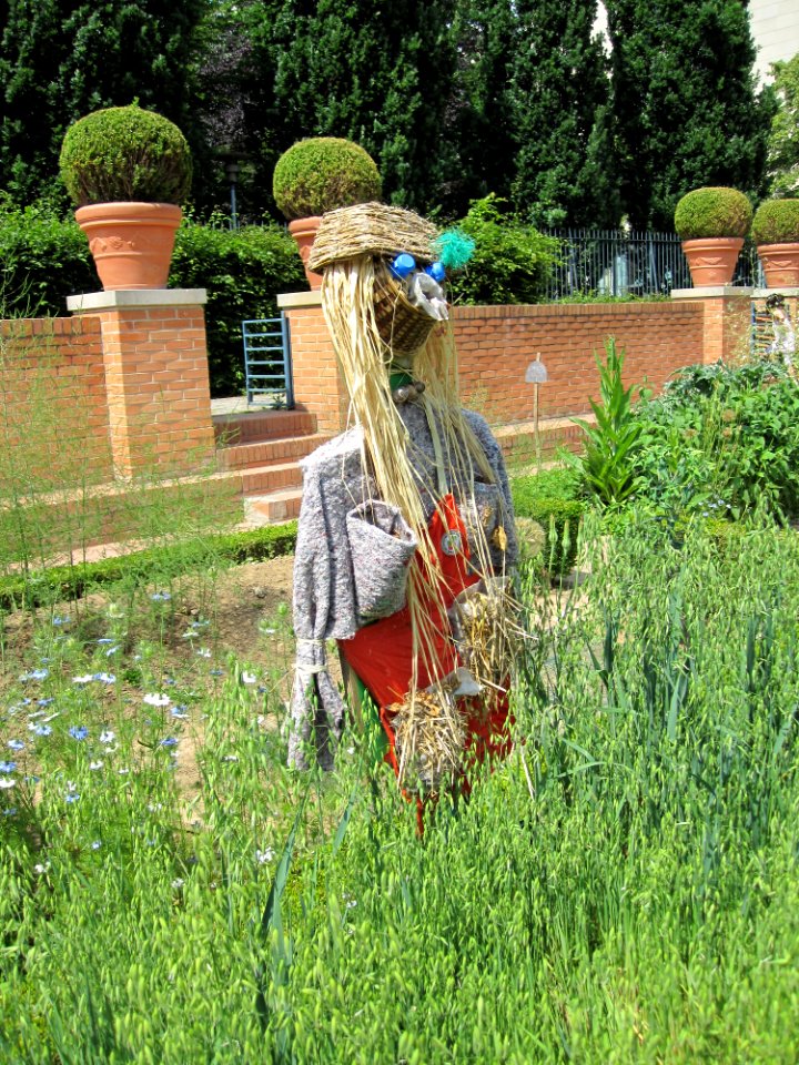 Jardin potager et épouvantail