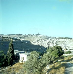 Jeruzalem Gezicht op de Olijfberg vanaf de berg Zion, Bestanddeelnr 255-9350