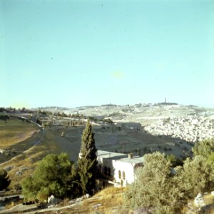 Jeruzalem Gezicht op de Olijfberg vanaf de berg Zion, Bestanddeelnr 255-9349