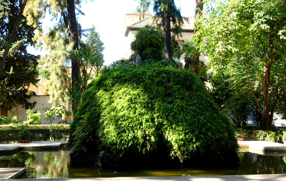 Jardín de la Cruz - Alcázar of Seville, Spain - DSC07534