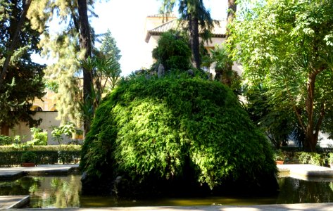 Jardín de la Cruz - Alcázar of Seville, Spain - DSC07534