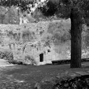 Jeruzalem, Garden of the Tomb, buiten de oude stad bij de Damascuspoort gelege, Bestanddeelnr 255-1681
