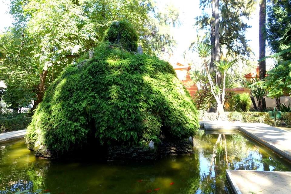 Jardín de la Cruz - Alcázar of Seville, Spain - DSC07535