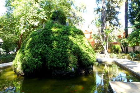 Jardín de la Cruz - Alcázar of Seville, Spain - DSC07535