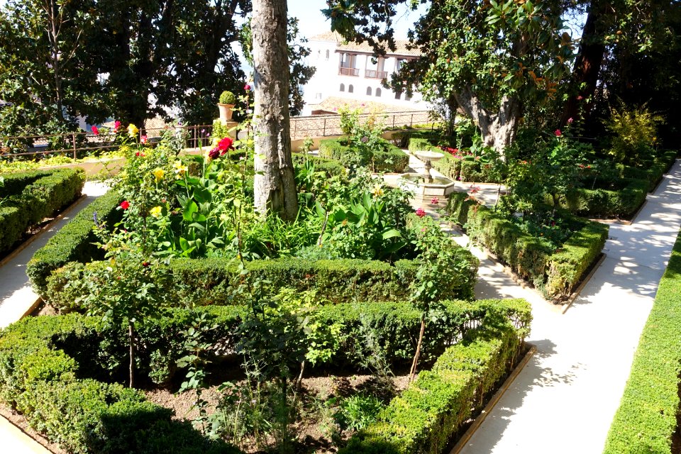 Jardines Altos (Generalife) - DSC07847