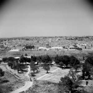 Jeruzalem. Gezicht vanaf de Olijfberg over het Kedrondal op de oude stad met de , Bestanddeelnr 255-5174