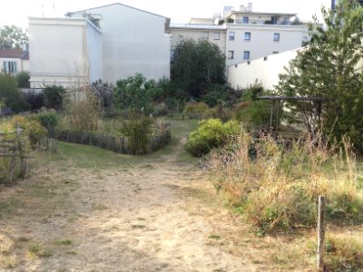 Jardin aux papillons, Courbevoie, France