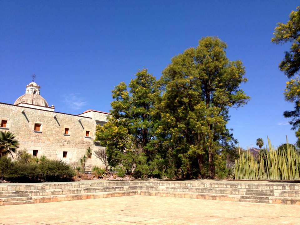 Jardín Etnobotánico de Oaxaca 11