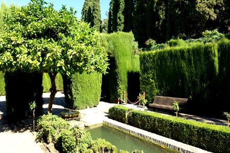 Jardines Bajos (Generalife) - Alhambra, Granada, Spain - DSC07734