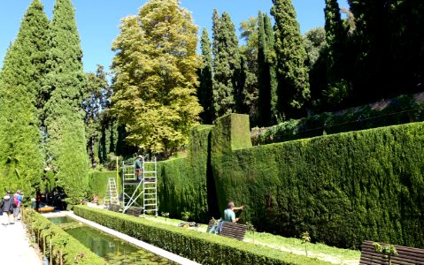 Jardines Bajos (Generalife) - Alhambra, Granada, Spain - DSC07708