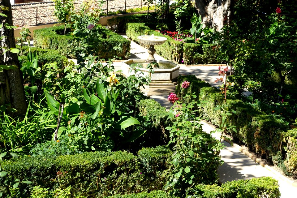 Jardines Altos (Generalife) - DSC07848