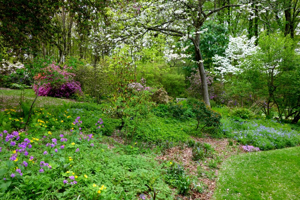 Jenkins Arboretum - DSC00679